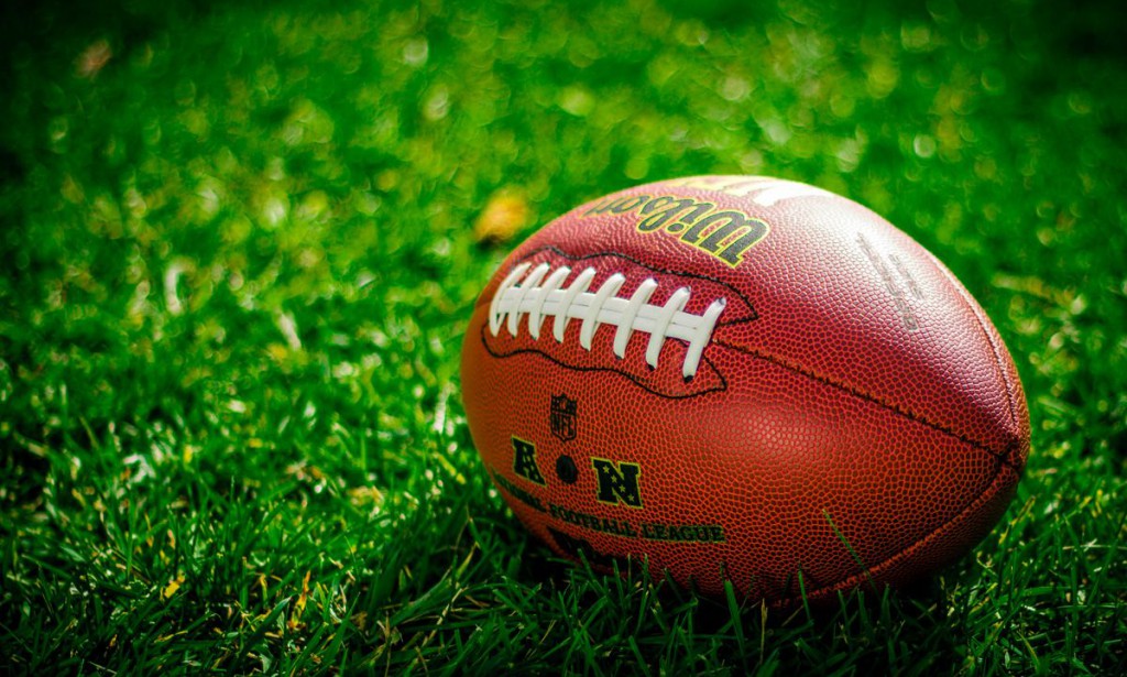 Mucius oporteat te vel!